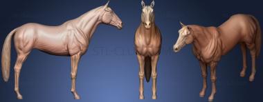 3D model Horse Base 01 (STL)